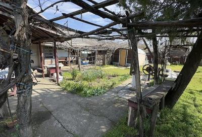 Casă cu 3 camere cu Teren 3000 Mp în Rasa