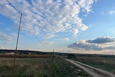 RECO Teren intravilan 5048 mp -Str. Apatelui-zona Grigorescu - 3