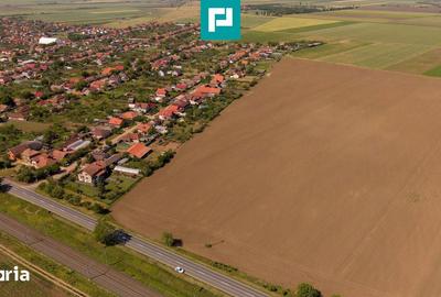 Teren de 28500 mp, în Șofronea - 2