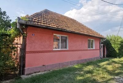 Casa de vanzare Oravita