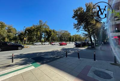 Spatiu Comercial -Bd. Al. Lapusneanu -City Park Mall- 71 mp - 13