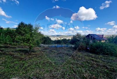 Teren 1,000mp Piatra-Neamt / Strada Pietrelor - 6