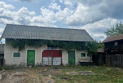 Casă cu 3 camere în Copăceni - 7