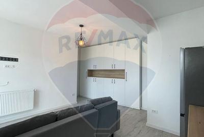 Apartament cu 2 camere semidecomandat în Lunca Cetățuii - 5