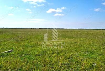 Teren de 31297 mp, în Vladimirescu
