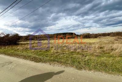 Teren extravilan 868 mp, Cârțișoara - 3