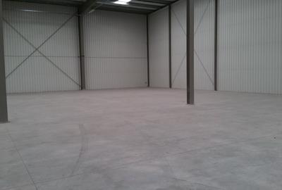 Spațiu industrial, de 1,000 mp, în Bradu - 6