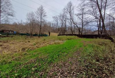 Resita, Teren Drept Intravilan, Langa Prau si Drum, 1308 Mp. - 2