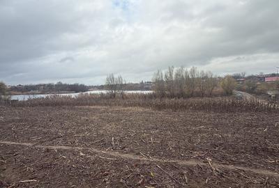 Teren 2.000 Mp | Ileana - Calarasi | Dubla Deschidere Stradala - 2