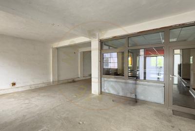 Cladire Industriala Hala Productie, Depozitare, Birouri-Teren 3140 mp - Carei - 7
