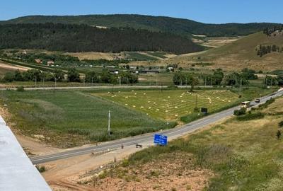 Hala industriala de inchiriat ,12.500 mp utili, zona Garbou /Autostrada - 3