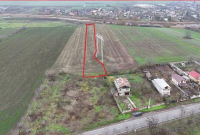 Teren Construcții intravilan de 7630 mp, în Frumușani - 1