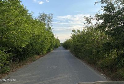 Corbeanca - Tamasi, intravilan, 16562 mp, deschidere 93 m, rezidential! 	Corbeanca - Tamasi, intravilan, 16562 mp, deschidere 93 m, rezidential! - 3