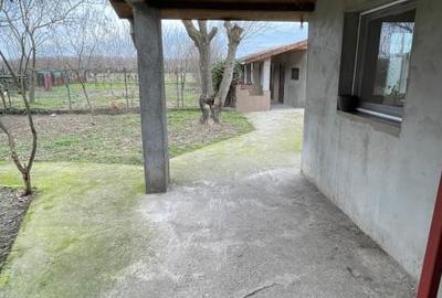 Casă individuală cu 4 camere cu Teren 1454 Mp în Pustiniș - 15