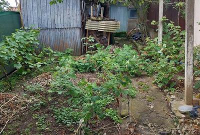 Casă cu 3 camere în Central - 1