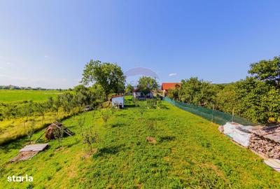 Casă cu 3 camere cu Teren 1732 Mp în Tăuții-Măgherăuș - 9