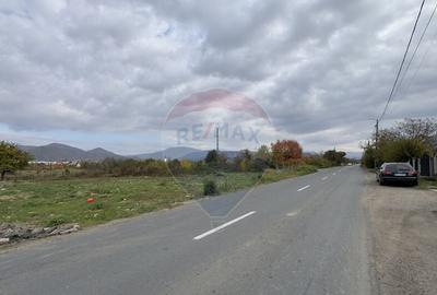 Teren de vanzare Str. Dumbravei, cu front la centura... - 2