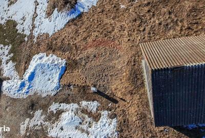 Spațiu comercial, în Șirnea - 5