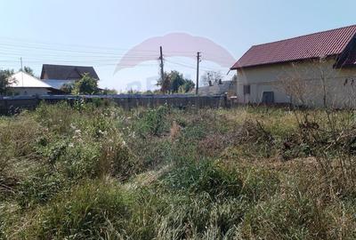 Casă individuală cu 4 camere cu Teren 3370 Mp în Central - 18