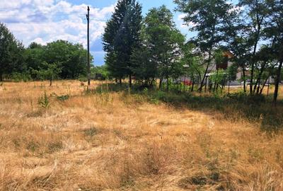 Teren Construcții intravilan de 2478 mp, în Polovragi - 4