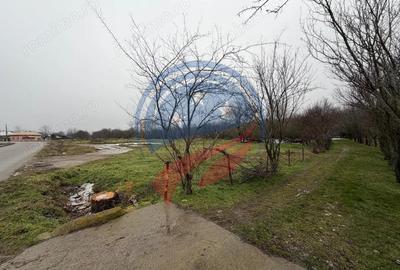 Casă cu 3 camere cu Teren 2540 Mp în Vulpeni - 3