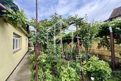 Casa individuala, 505mp teren, pivnita, acces auto, zona Centrala - 2