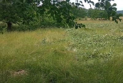 Teren de 5000 mp, în Vicovu de Sus - 1