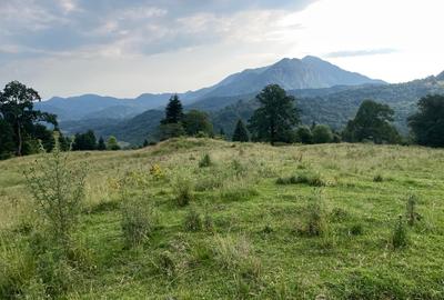 Teren intravilan dezvoltare turistica Hoteluri/Pensiuni S+P+2E+M - 13