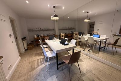 Vila deosebita zona Piata victoriei pentru office - 6