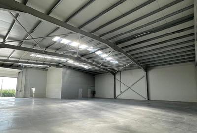 Hale depozitare de in zona de Nord Chitila Hale depozitare de in zona de Nord Chitila - 2