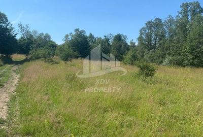 Teren in zona turistica Porumbacu de Sus - 3