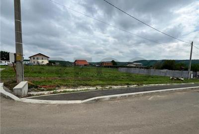 RECO teren de in zona Betfia - 8