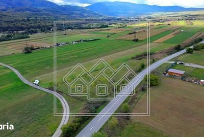 Teren de 3942 mp, în Sadu