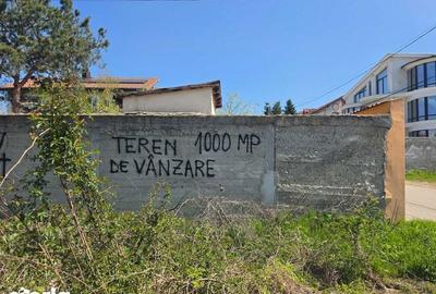 Teren de 1000 mp, în Cernica - 1