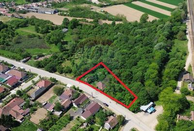 Casa cu 22 de arii de teren de vanzare in APA/ Satu Mare