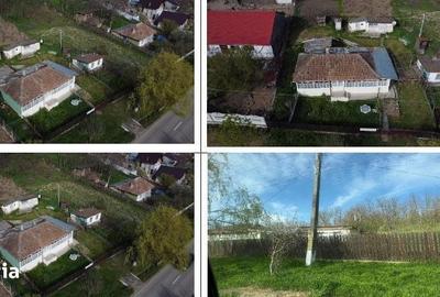 Casă cu 3 camere cu Teren 3633 Mp în Delești - 2