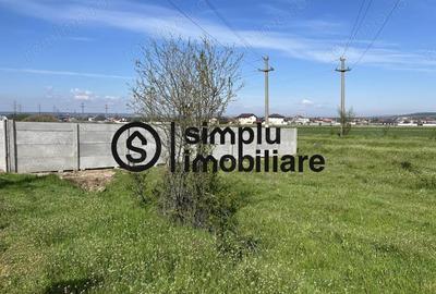 Teren Intravilan Simnicul de sus - 4