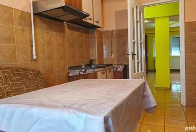 Apartament cu 4 camere decomandat în Bejan - 12