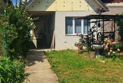 Casă cu 3 camere cu Teren 2157 Mp în Merișani - 18