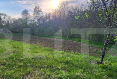 Teren 6650 mp, cu casa nefinalizata de 111 mp, in Nisipoasa - 3