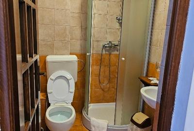 Hotel/Pensiune, de 21 mp, în Drumul Carului - 6