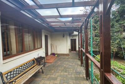 Casă individuală cu 4 camere cu Canalizare în Podul de Fier - 18