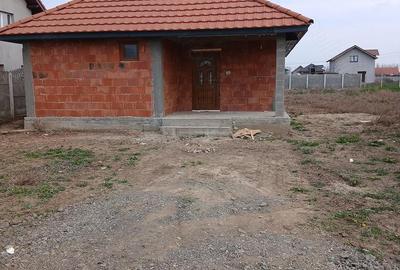 Casă cu 2 camere cu Teren 987 Mp în Peciu Nou - 8