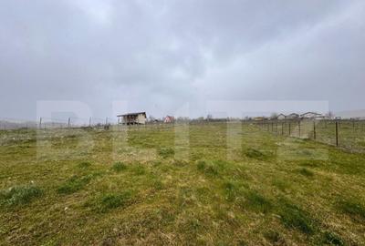 Teren intravilan, 731 mp, proiect de casa autorizat D+P+M, s - 3