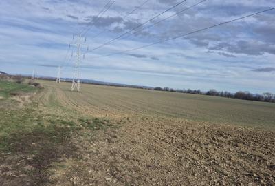 Spațiu comercial, în Colonia 1 Mai - 5