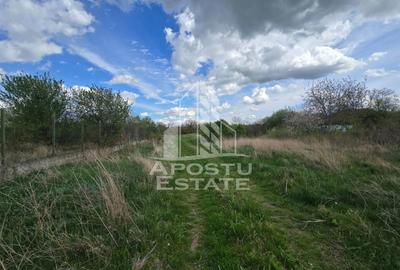 Teren de 2000 mp, în Fântânele - 4