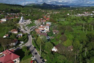 Teren Construcții intravilan de 3234 mp, în Lerești - 11