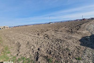 Teren de 710 mp, în Calea Bârladului - 3