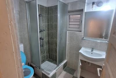 Km. 5 - Viile Noi, casa 4 camere, libera, pe colt - 14