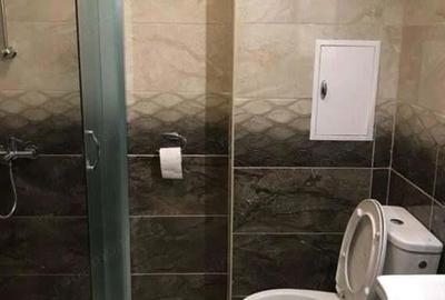 De inchiriat apartament 2 camere in zona Lipovei - 2